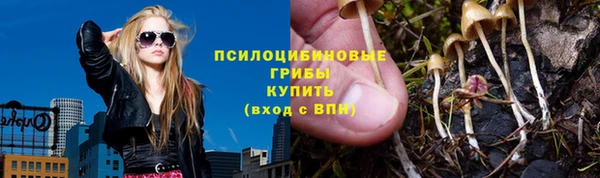 прущие крисы Белоозёрский
