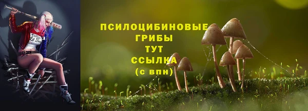 ECSTASY Баксан