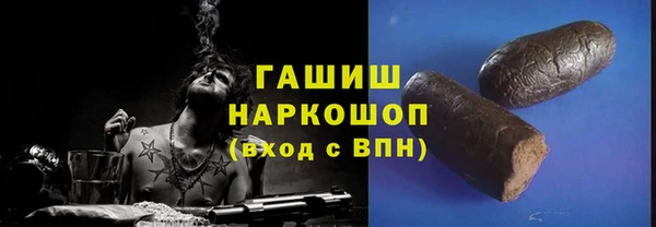 шишки Сатка