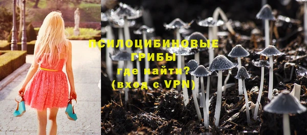 прущие грибы Балабаново