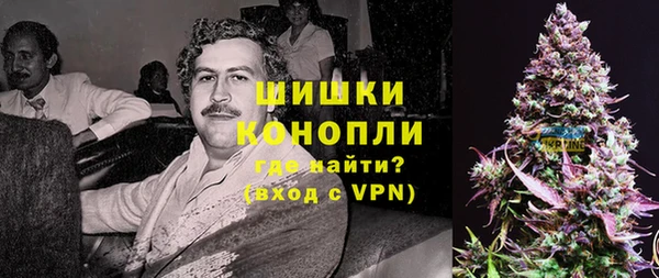 трава Белокуриха