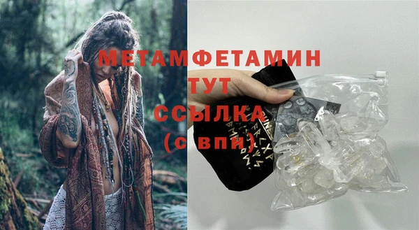 трава Белокуриха