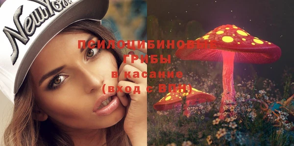прущие грибы Балабаново