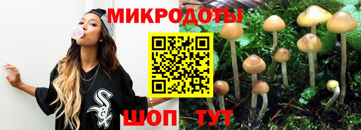 Галлюциногенные грибы GOLDEN TEACHER  Вход с VPN  Лыткарино 